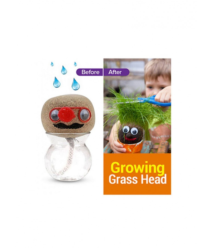 Growing Grass_Education_Kids_Souq9_4